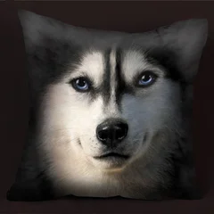 животные, хаски